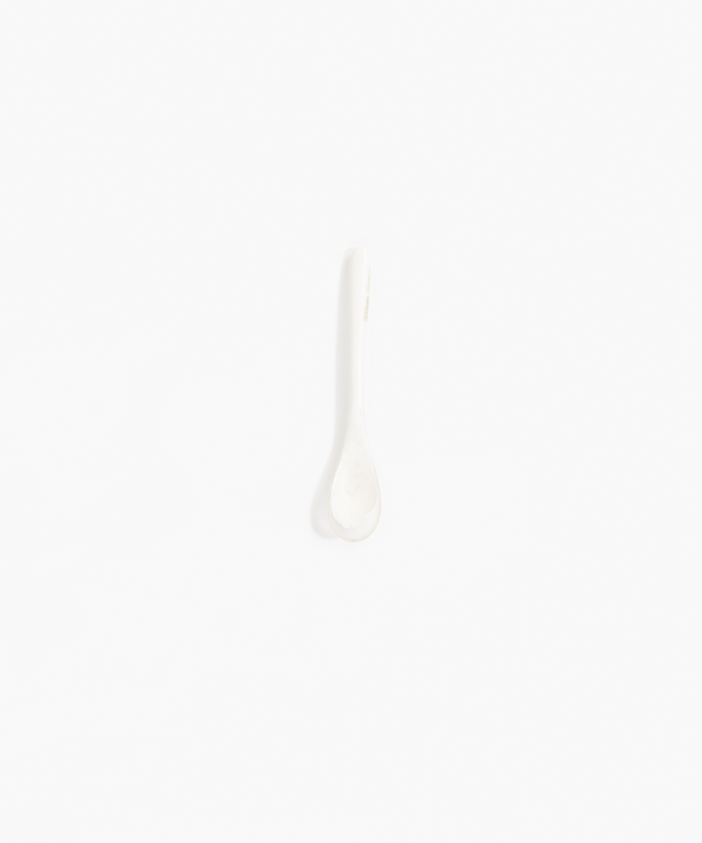 Shell Spoon
