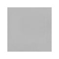 Shimmering Silver Paper Beverage/Cocktail Napkins