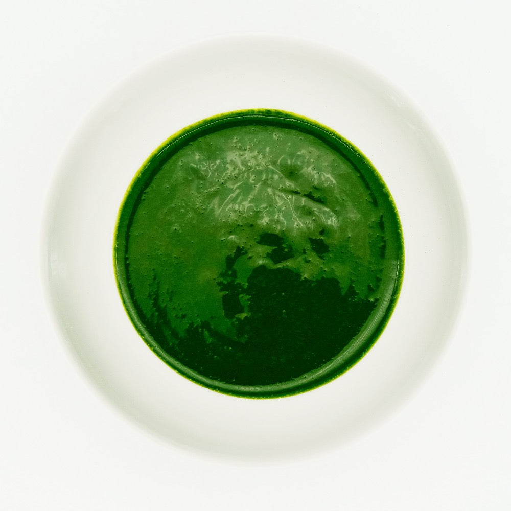 Shirakawa Asahi Matcha