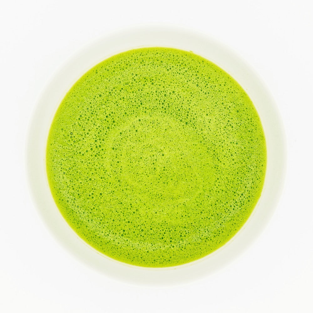 Shirakawa Asahi Matcha
