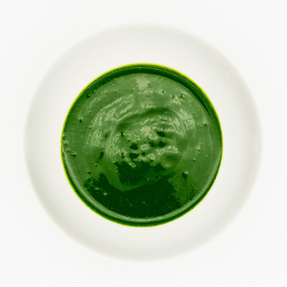 Shirakawa Gokou Matcha