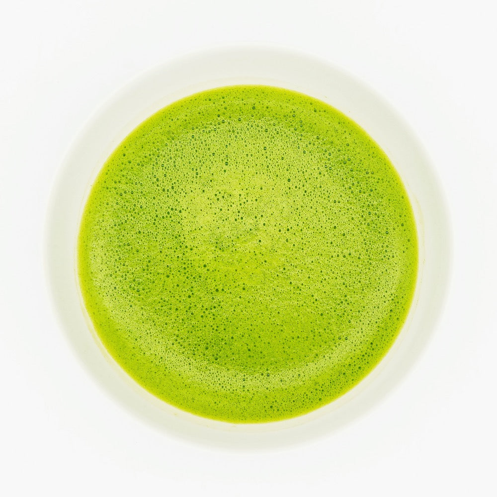 Shirakawa Gokou Matcha