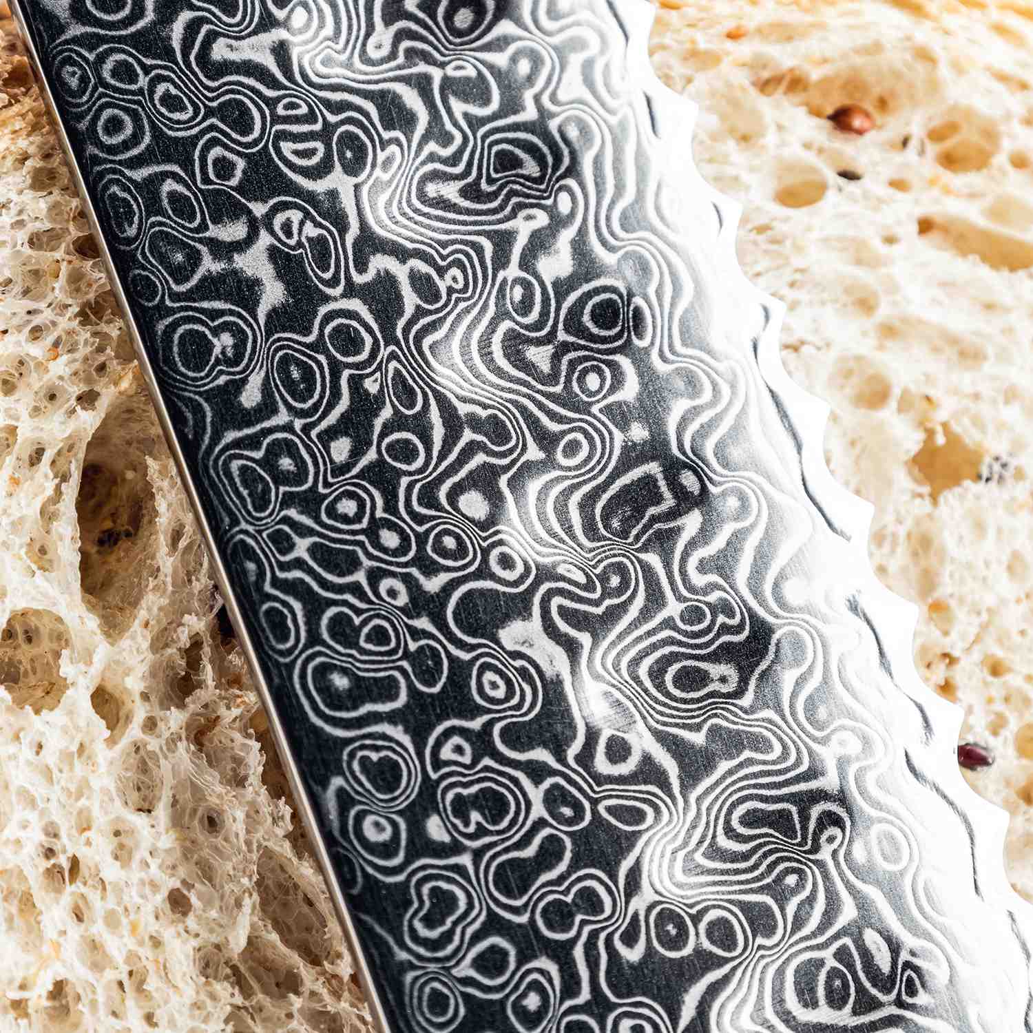 Shujin 10" Serrated Knife