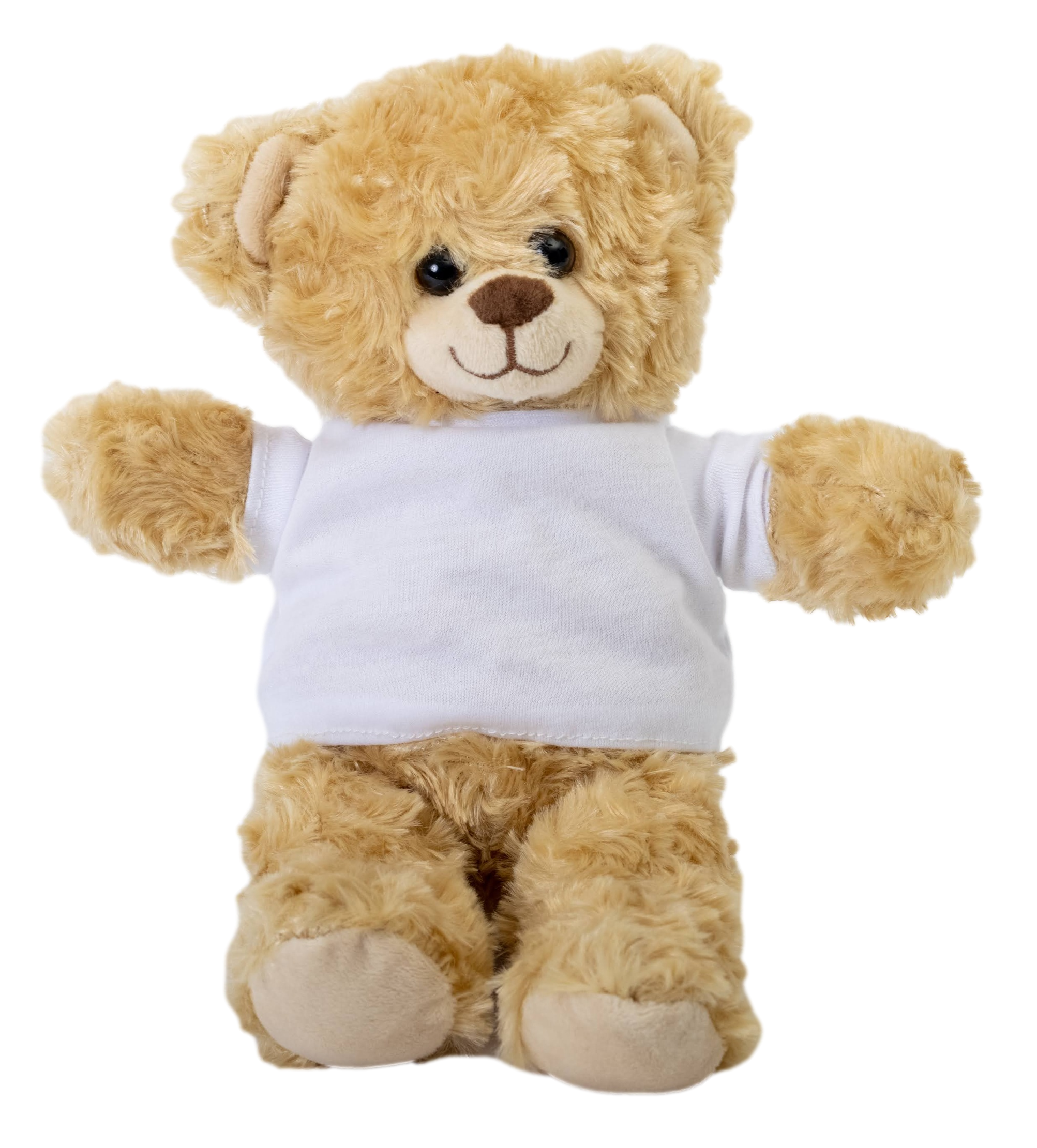 Small Plush Teddy Bear with Tee