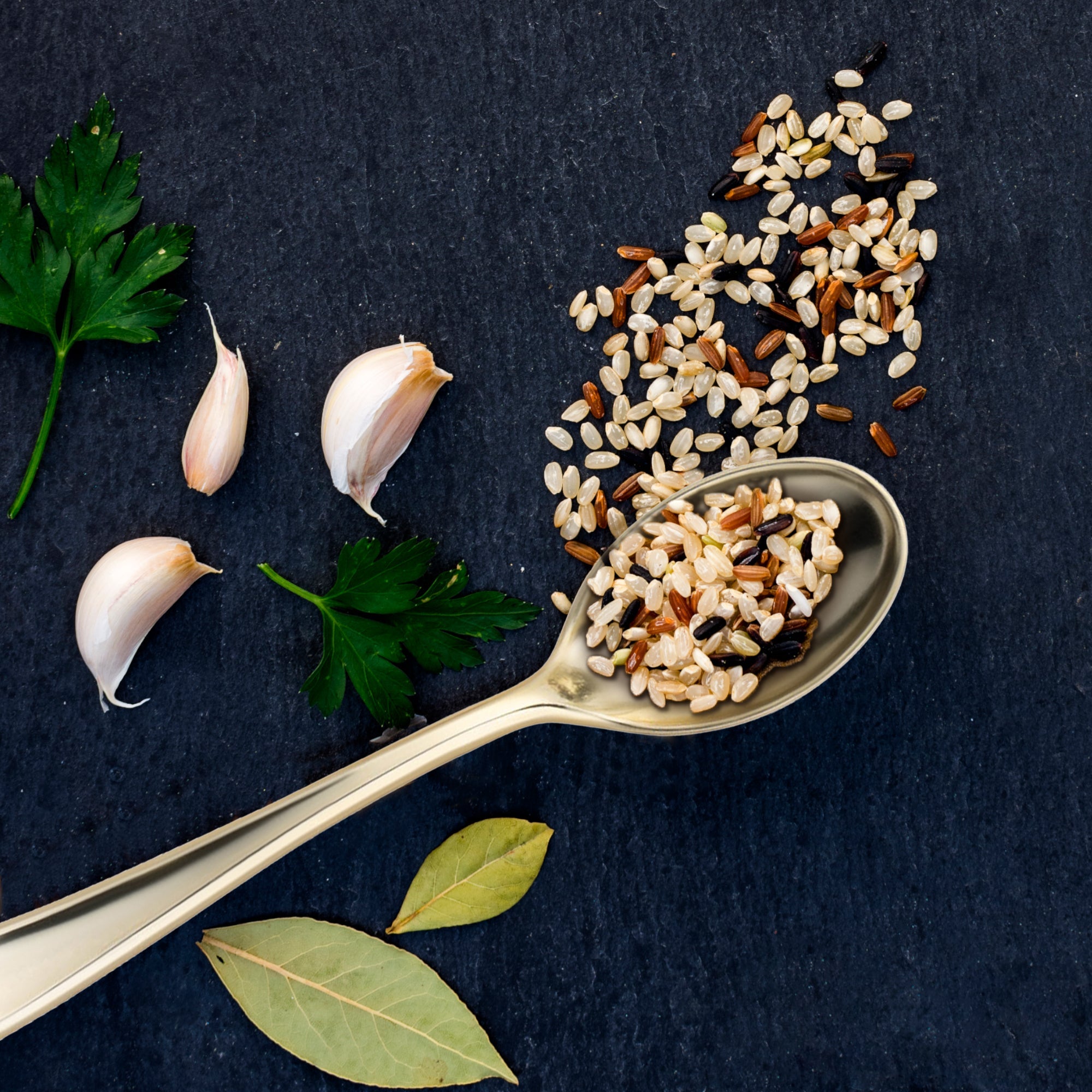 Shiny Metallic Gold Mini Plastic Disposable Tasting Spoons