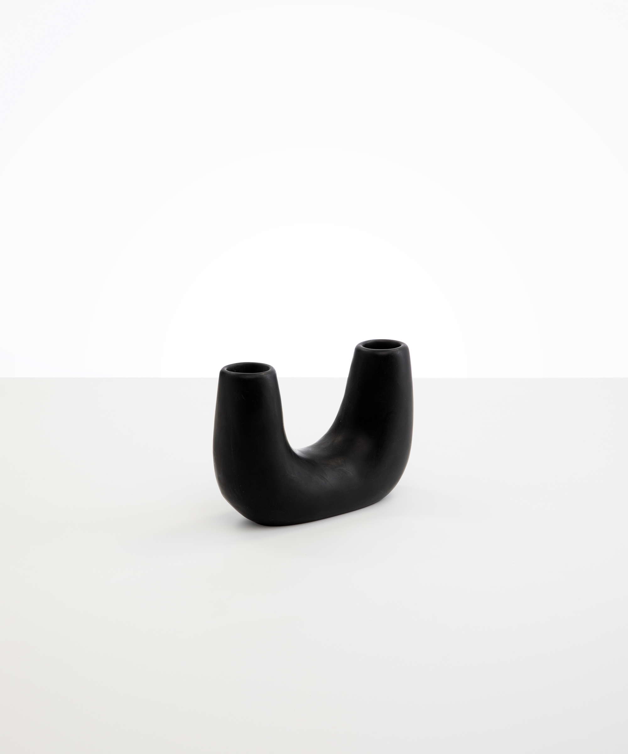 Small Branch Vase