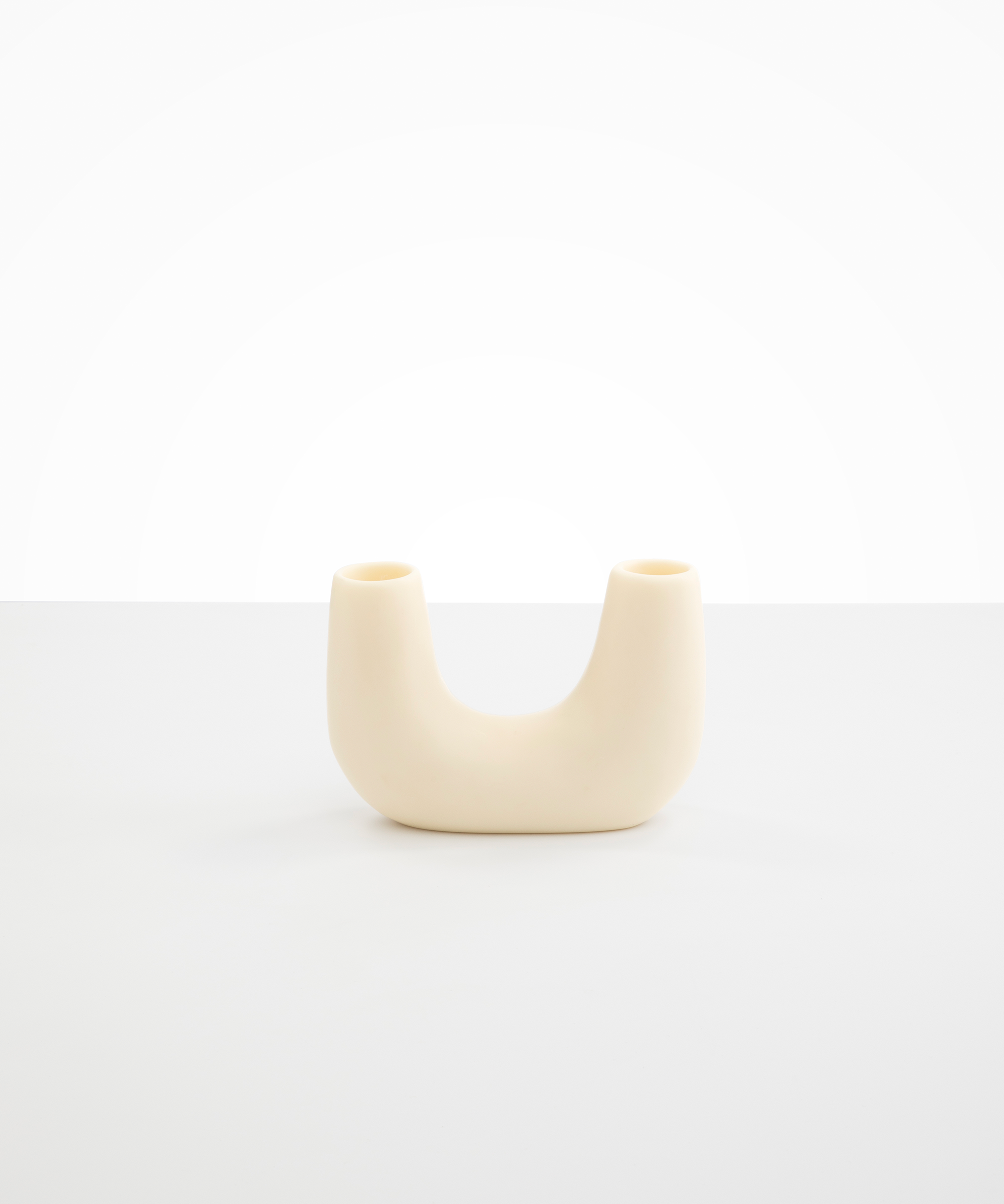 Small Branch Vase