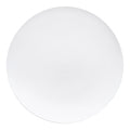 Solid White Organic Round Disposable Plastic Dinner Plates (10.25")