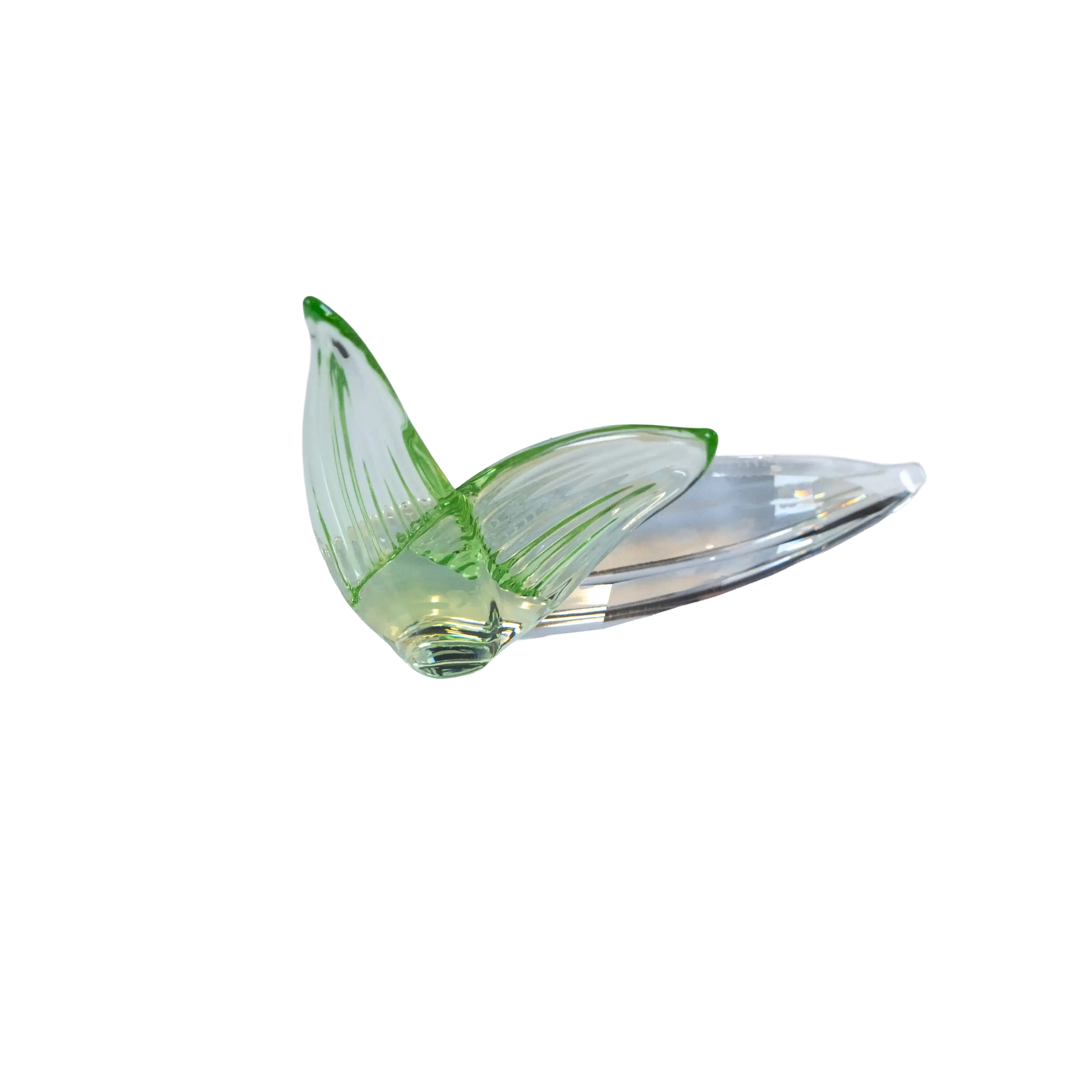 Swarovski Crystal Endangered Wildlife Leaf Plaque