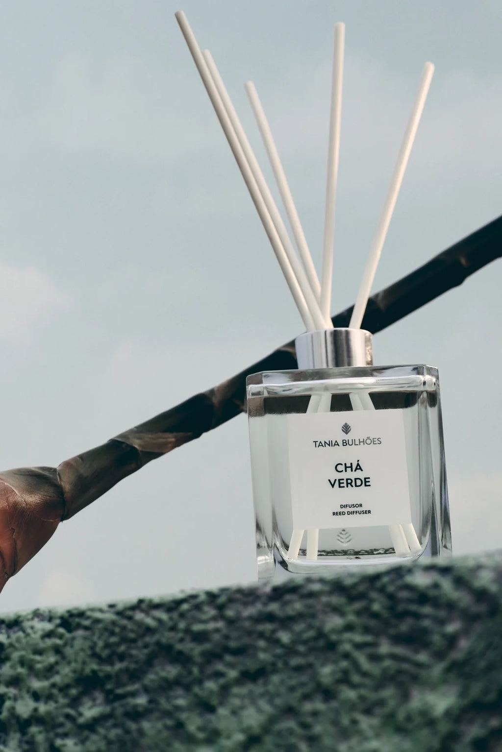 Reed Diffuser Cha Verde