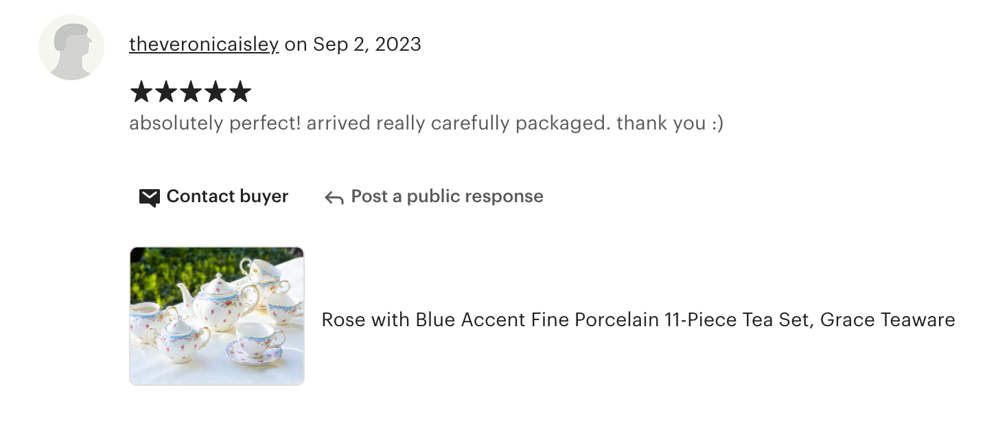 Rose with Blue Accent Fine Porcelain 11-Piece Tea Set