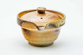 Japanese Shiboridashi - Ash Glazed Shigaraki-yaki Teapot - 130ml