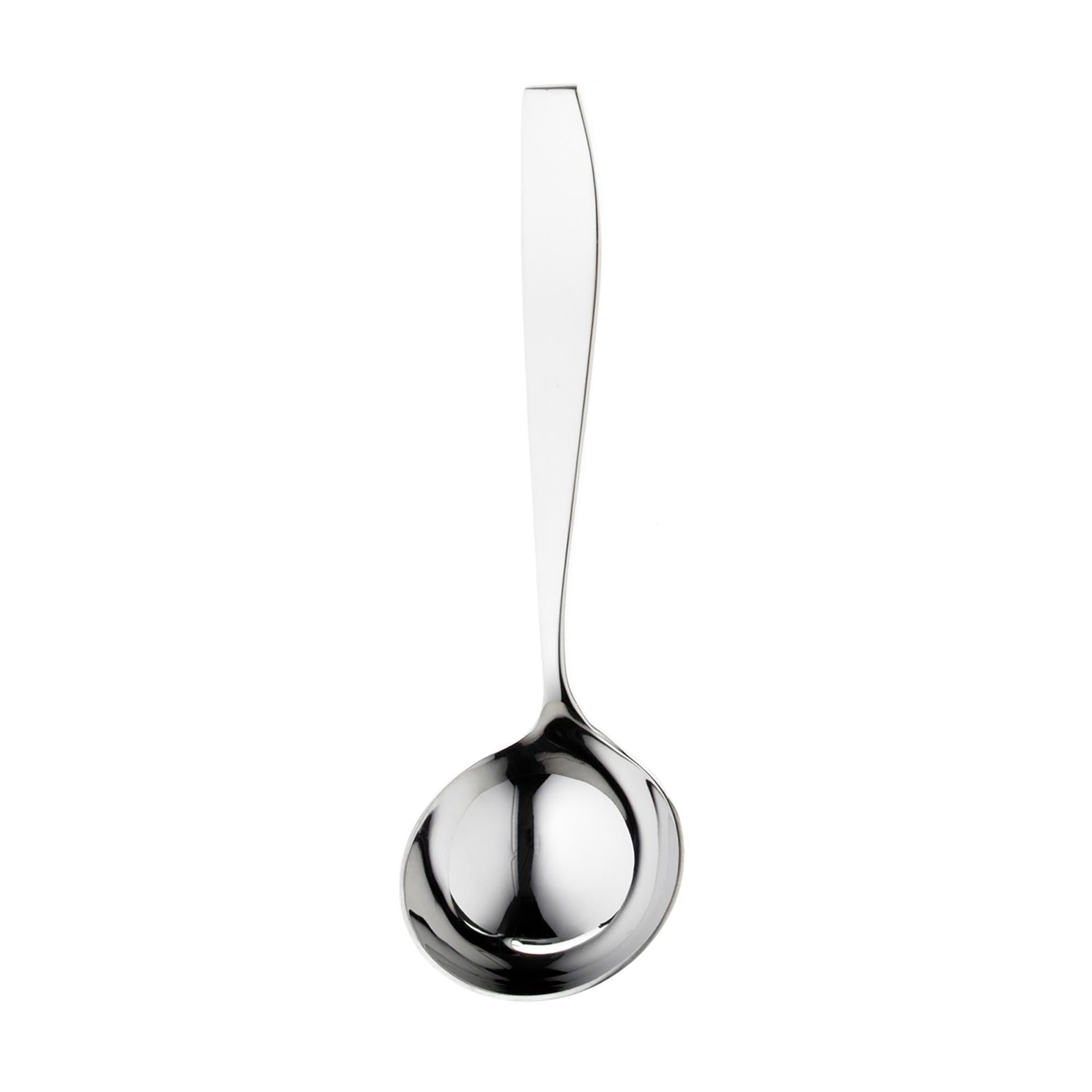Vista Bright Sauce Ladle