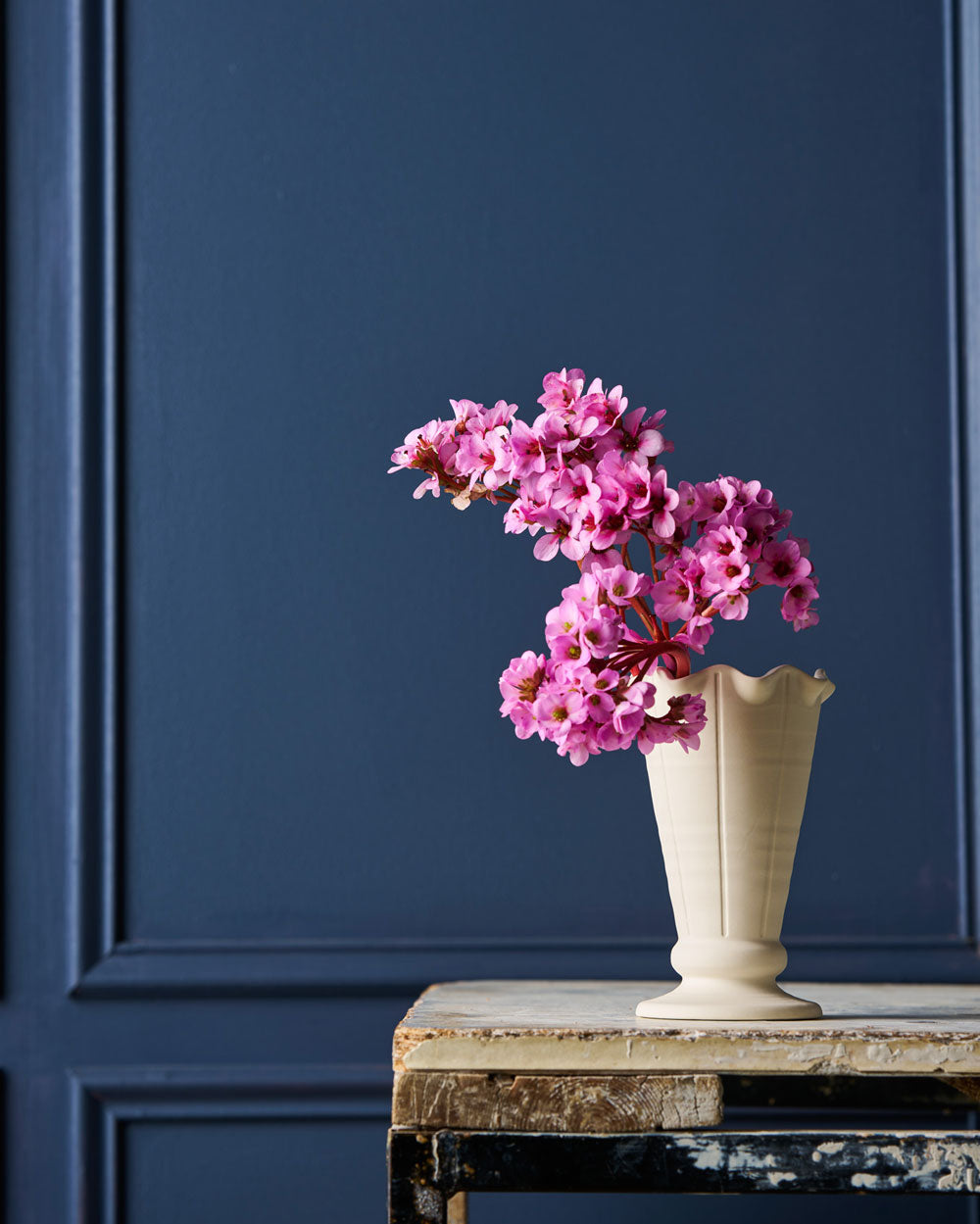 Violet Vase / Trophy Life