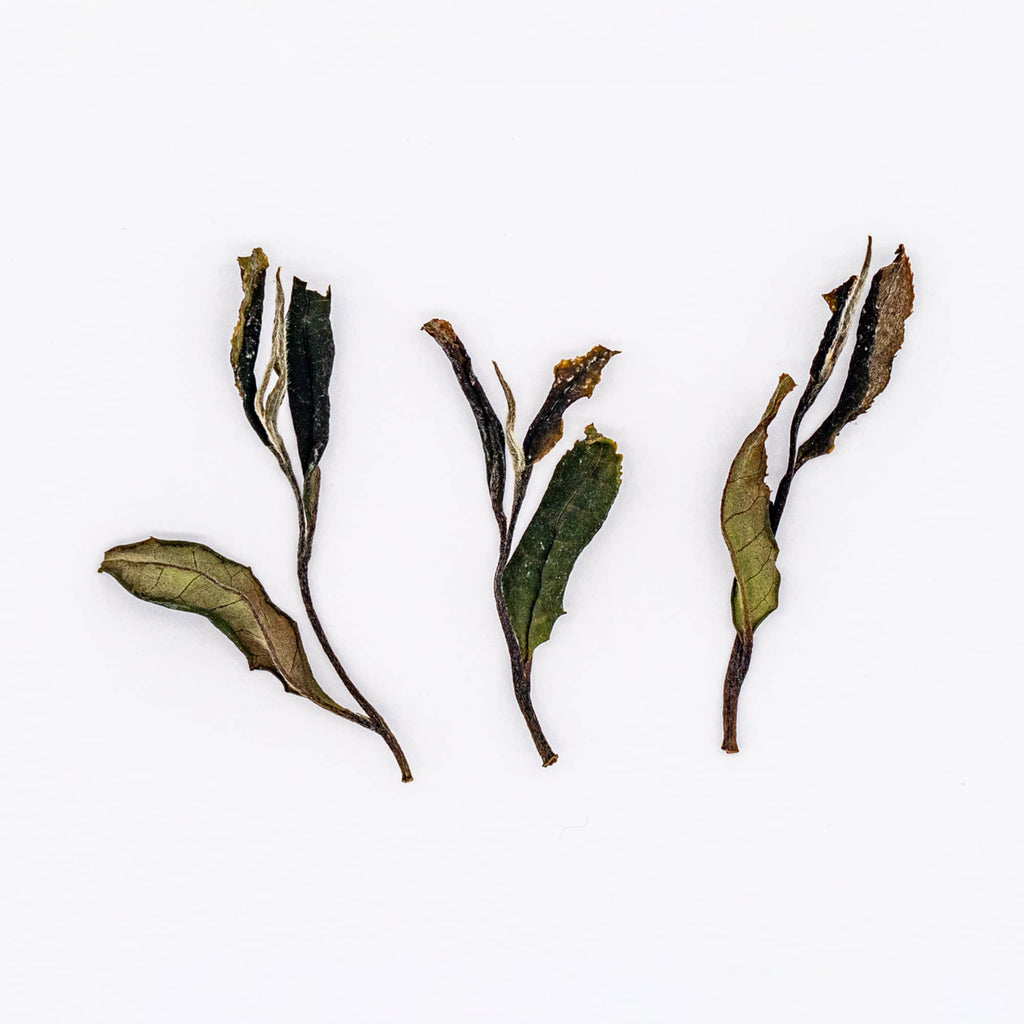 Wazuka Zairai White Tea
