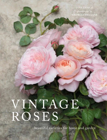Vintage Roses Hardcover Book