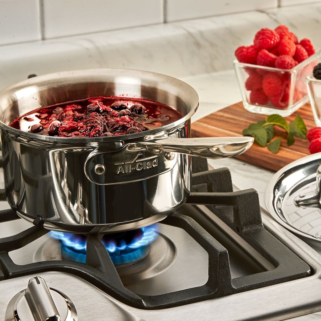 All-Clad Stainless D5 Polished Saucepan with Lid