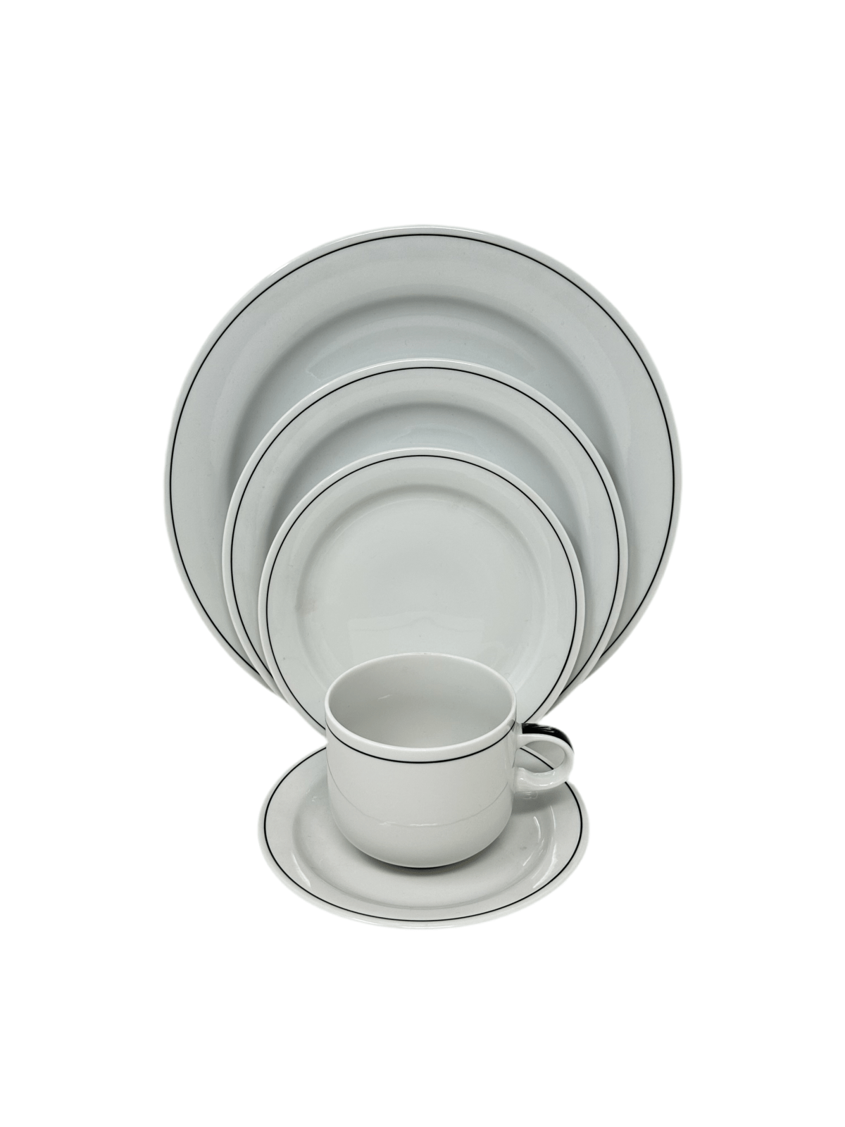 Arzberg Linea Negra - 5 Piece Place Setting