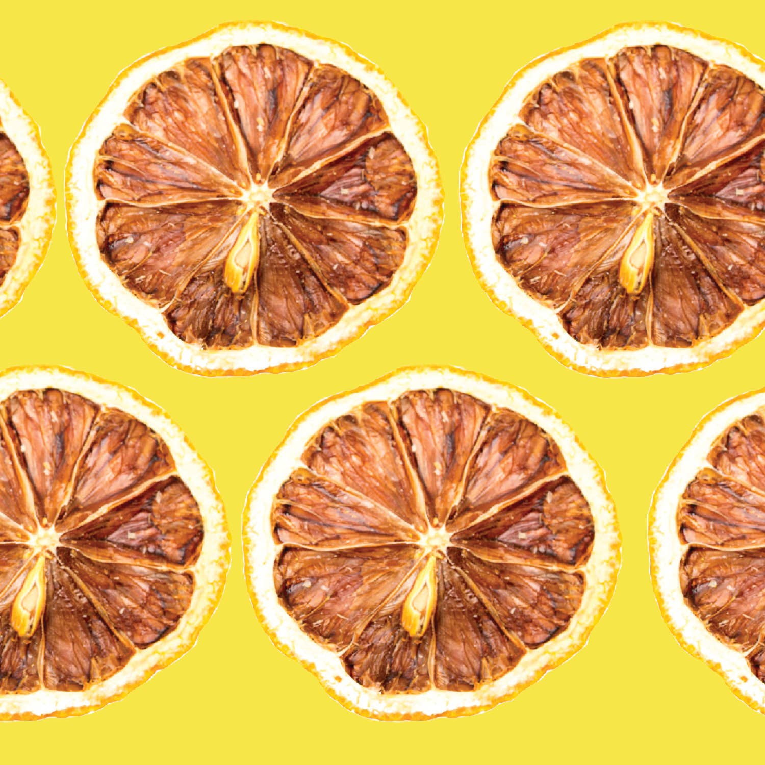 Dehydrated Lemon Slices – All-Natural Cocktail & Baking Garnish | Fresh Lemon Flavor
