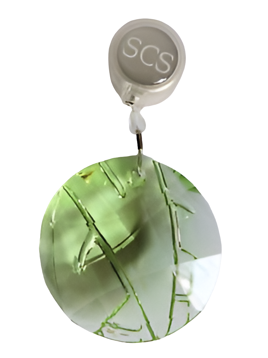 SWAROVSKI ENDANGERED WILDLIFE WINDOW ORNAMENTS - 2008 BAMBOO/GREEN