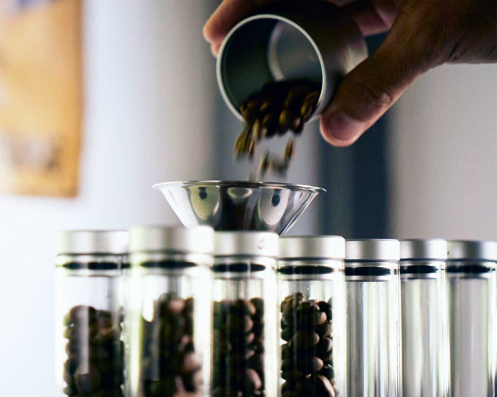 Bean Funnel