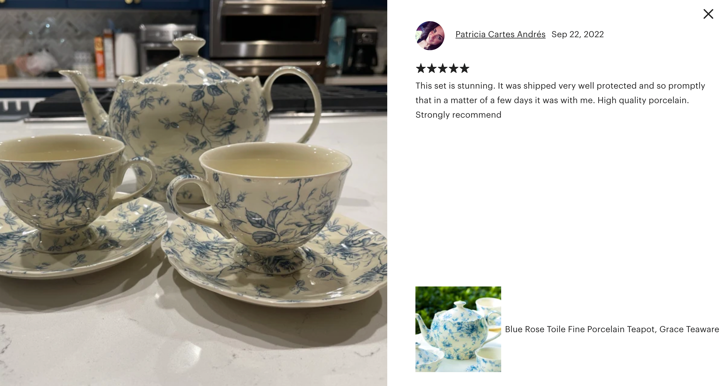 Blue Rose Toile Fine Porcelain Tea Set