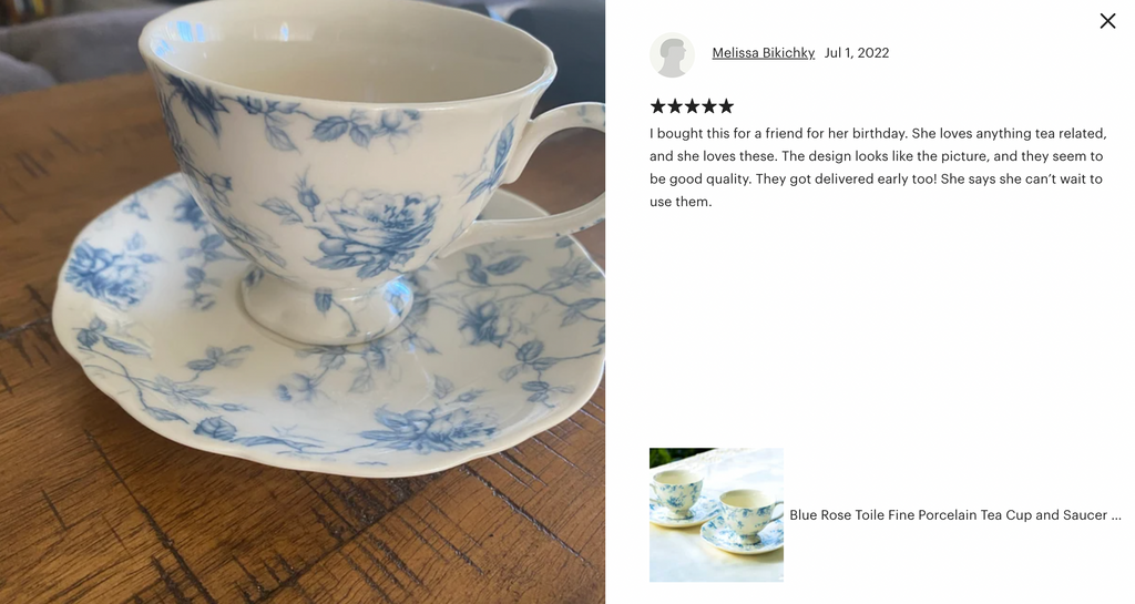 Blue Rose Toile Fine Porcelain Tea Cup and Saucer