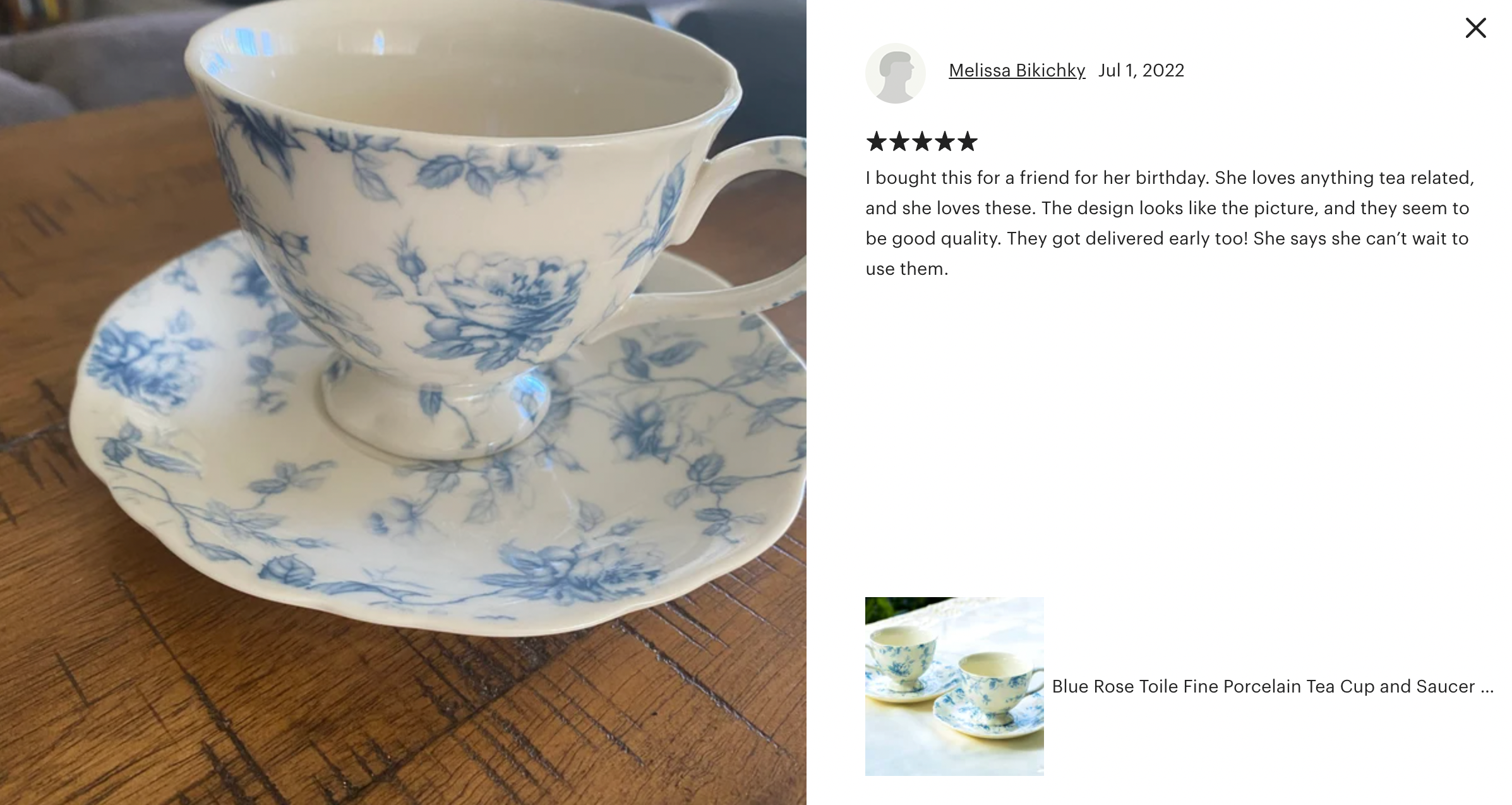 Blue Rose Toile Fine Porcelain Tea Cup and Saucer