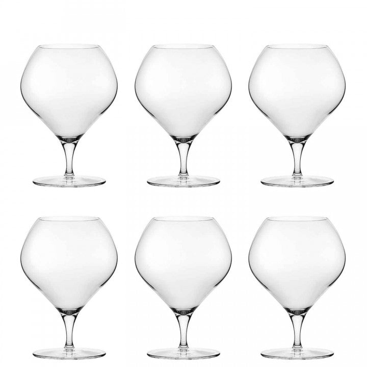 Nude Fantasy Cognac Stemware Glass