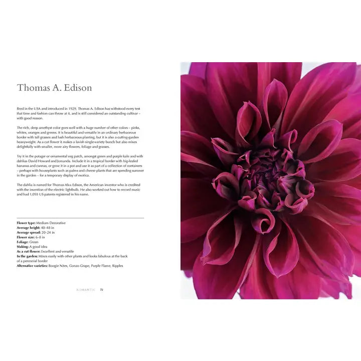 Dahlias Hardcover Book