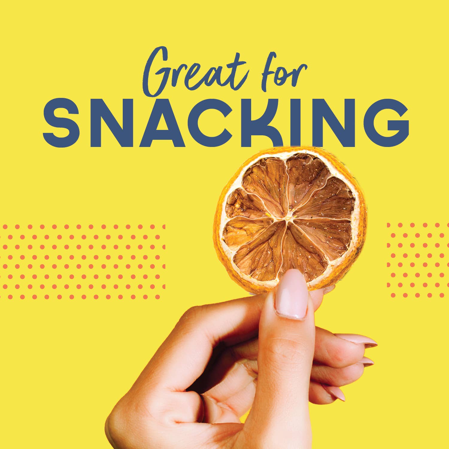 Dehydrated Lemon Slices – All-Natural Cocktail & Baking Garnish | Fresh Lemon Flavor