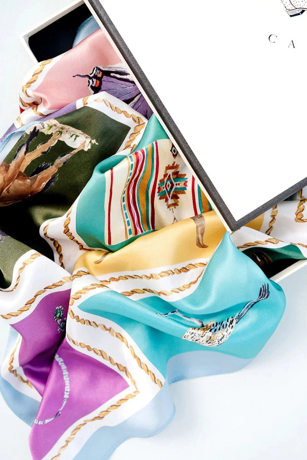Catherine Cartie Out West Scarf – 36” Luxury Hand-Painted Silk Scarf