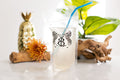 Custom Drink Pouches