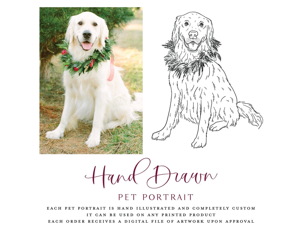 Custom Hand Drawn Pet Portrait Can Coolers