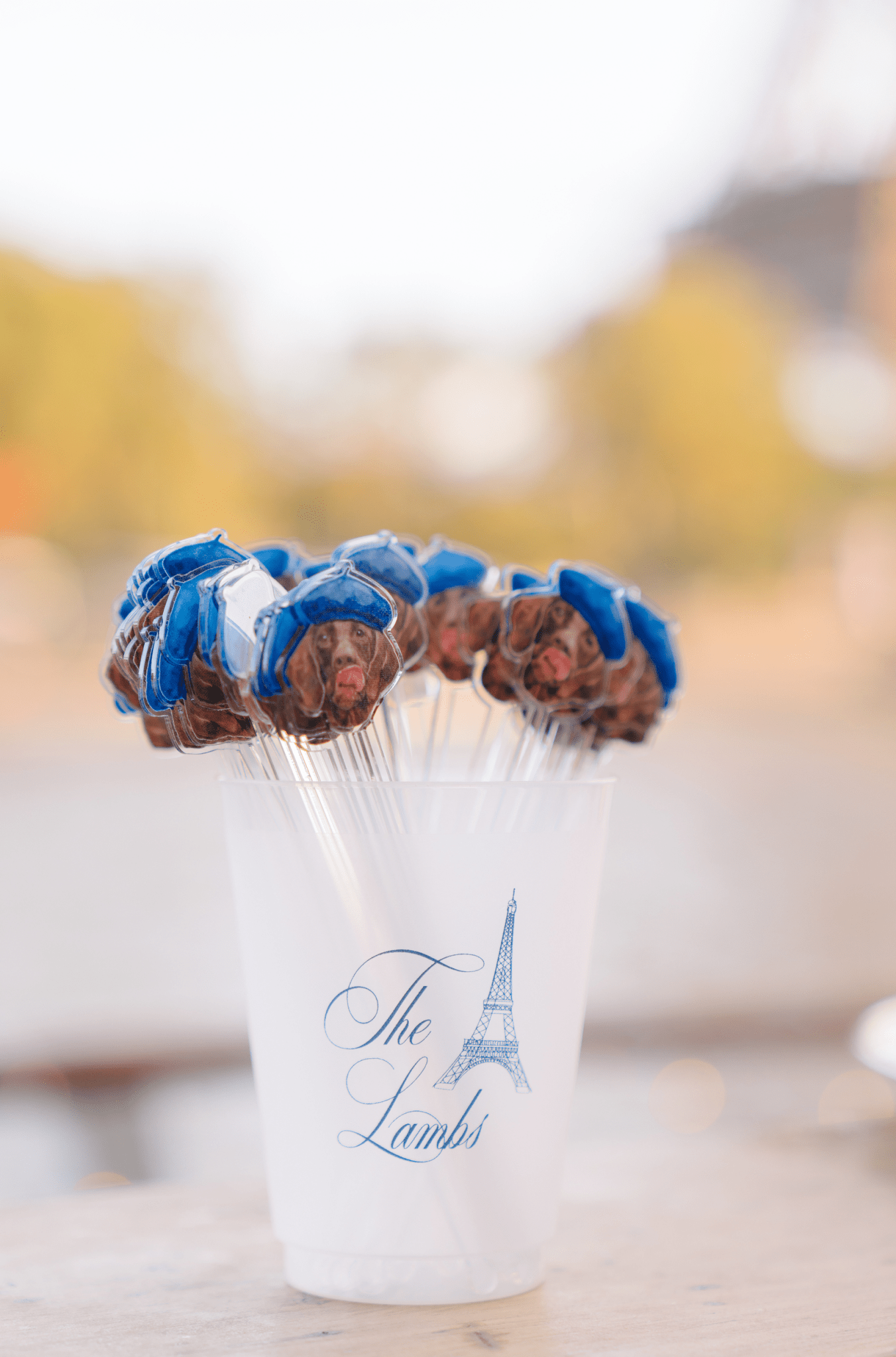 Custom Pet Stir Sticks