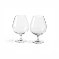 Dartington Crystal Wine Master Brandy