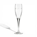 DaVinci Crystal Apuania Fluted Champagne