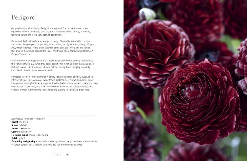 Ranunculus Hardcover Book: Beautiful varieties for home and garden