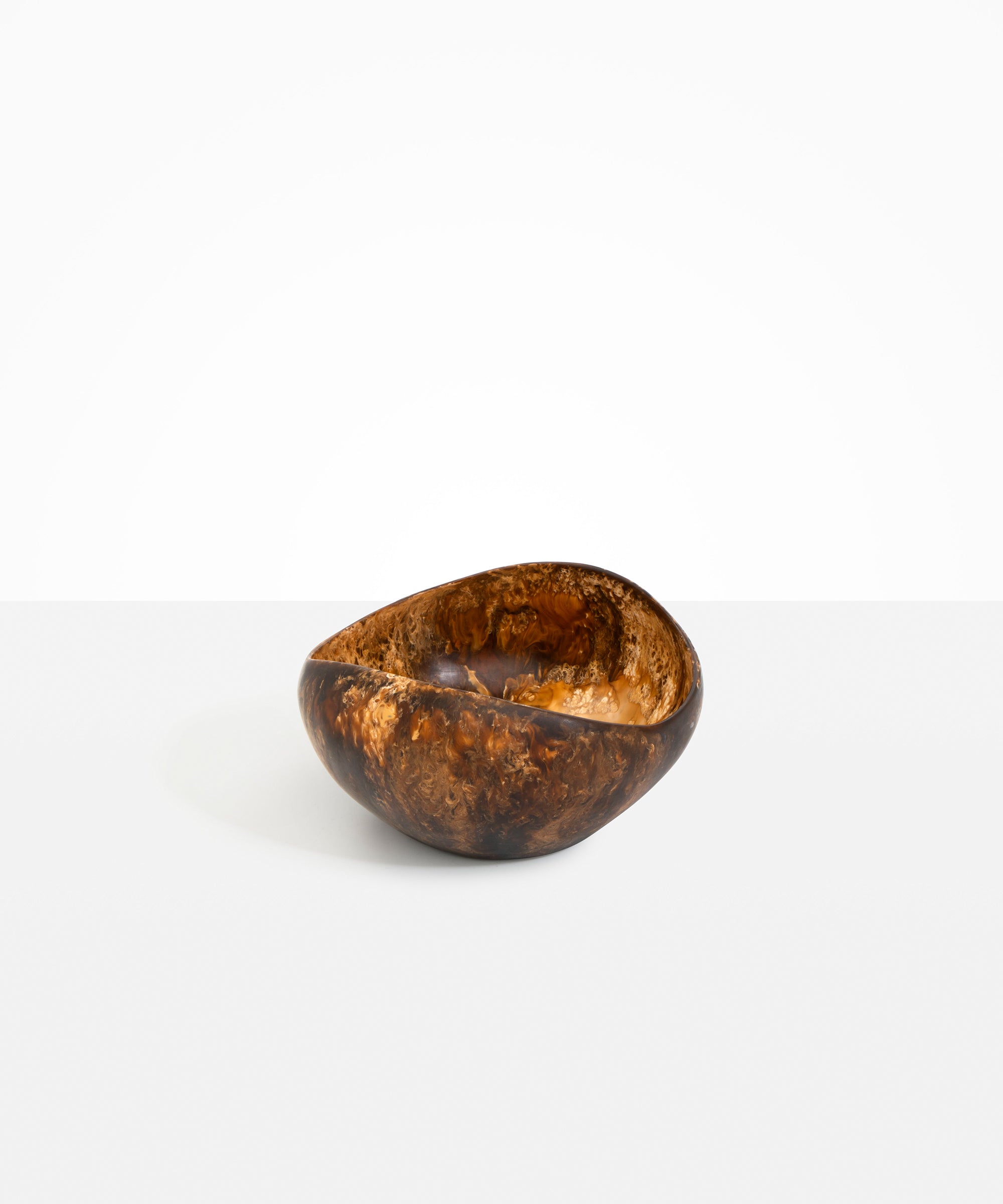 Large Beetle Bowl