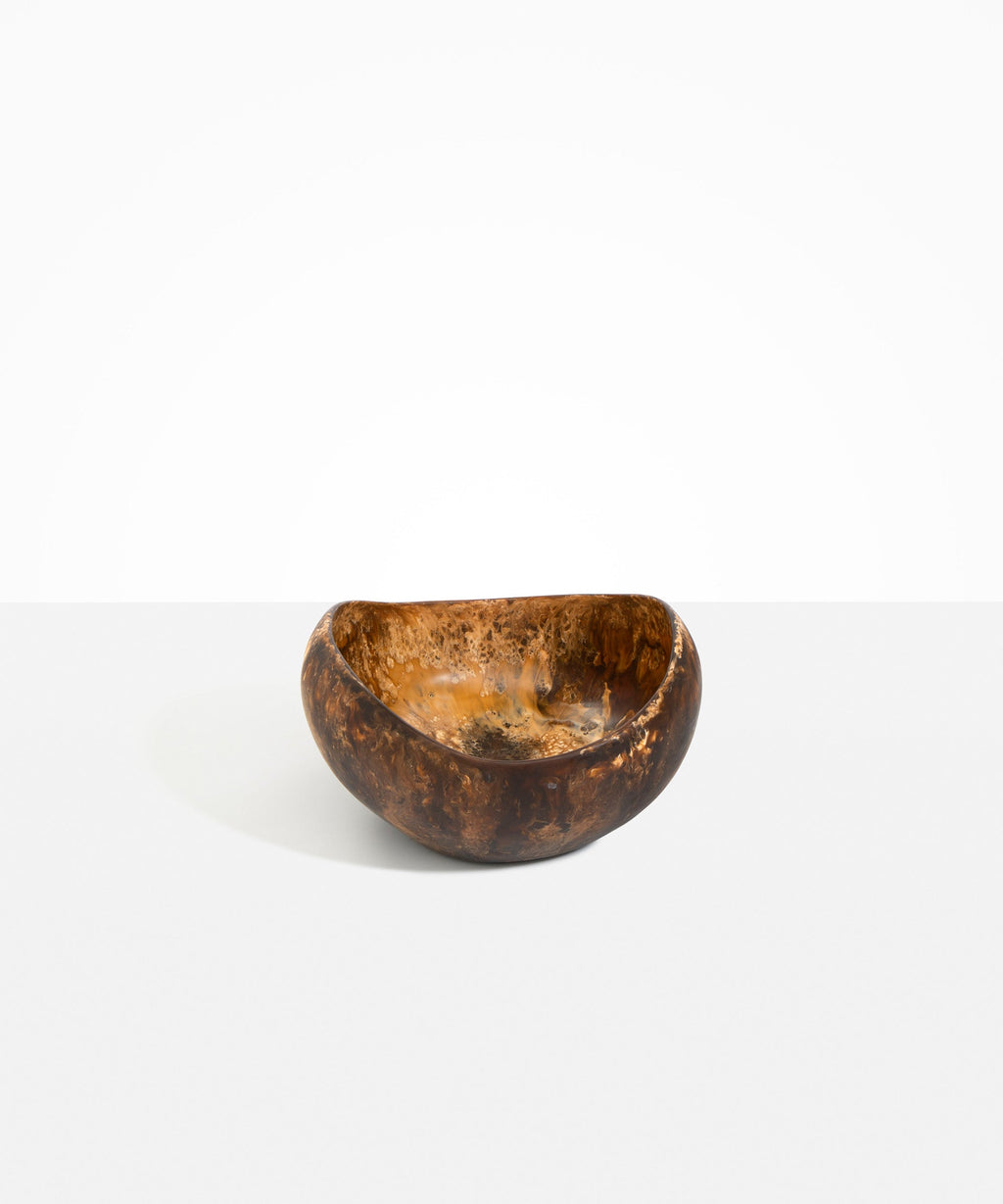 Large Beetle Bowl