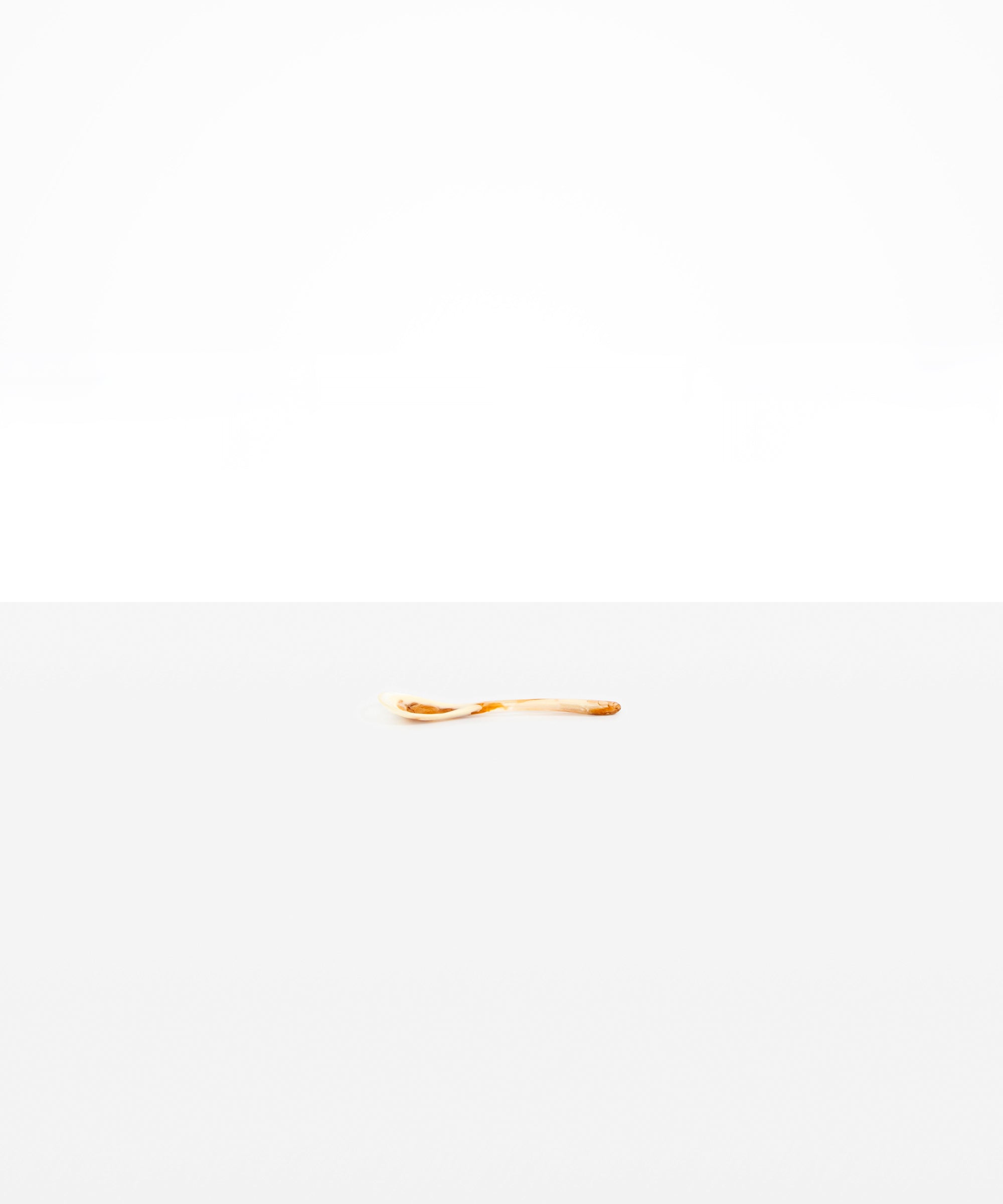 Shell Spoon