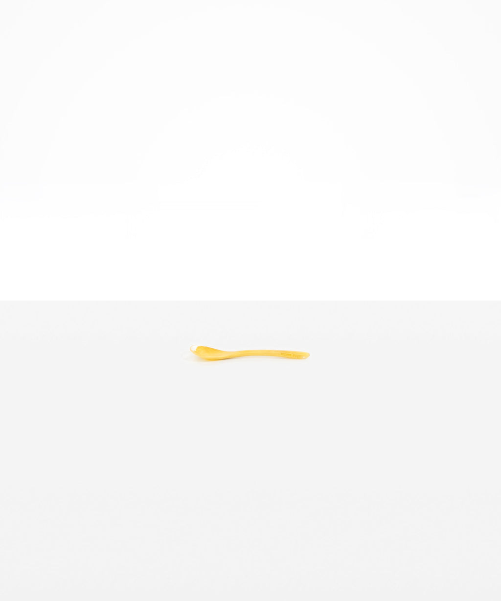 Shell Spoon