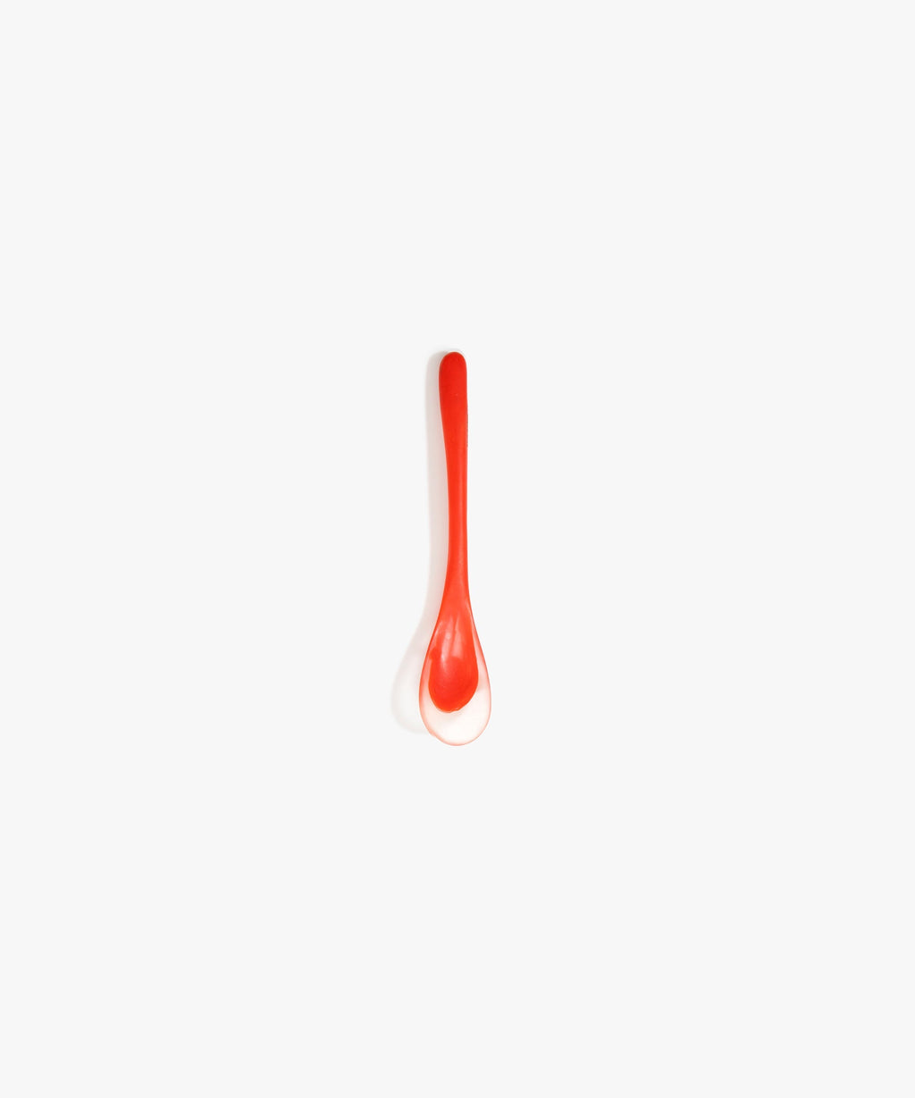 Shell Spoon