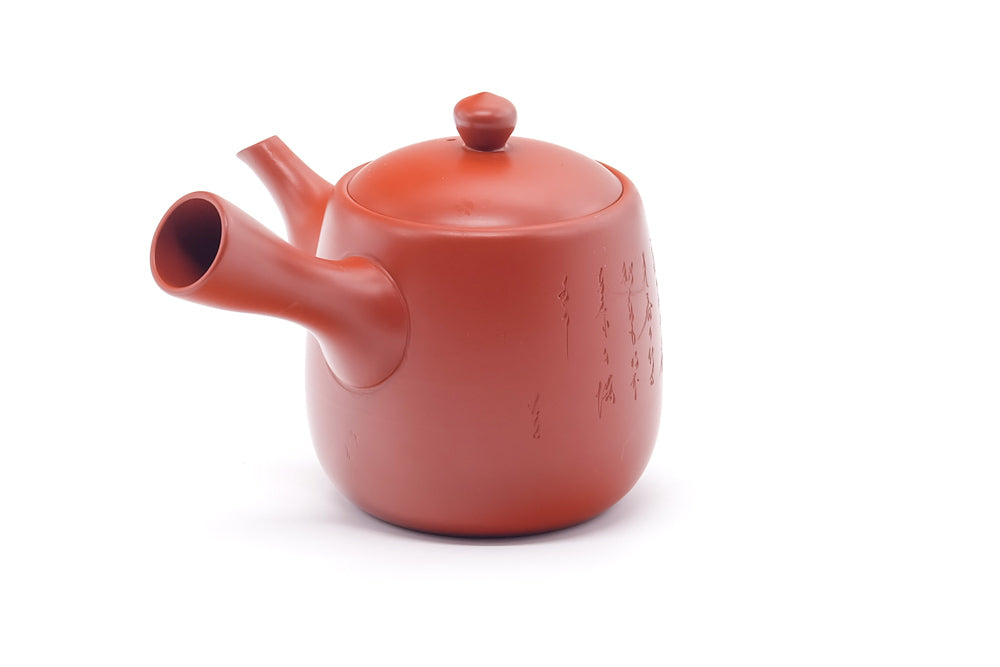 Japanese Kyusu - Calligraphy Engraved Tokoname Teapot - 350ml