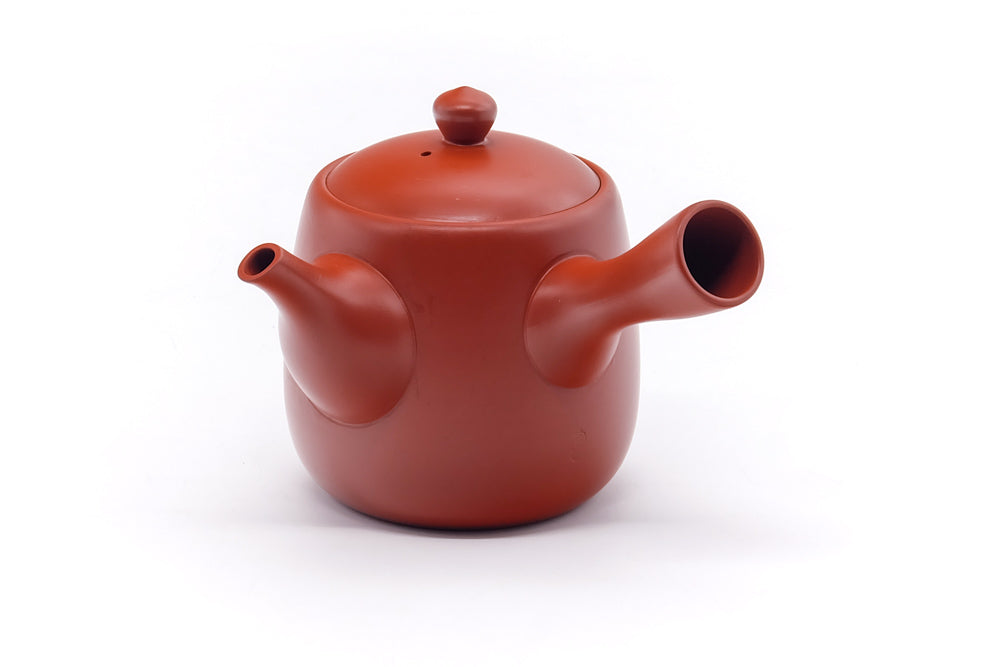 Japanese Kyusu - Calligraphy Engraved Tokoname Teapot - 350ml