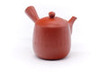 Japanese Kyusu - Calligraphy Engraved Tokoname Teapot - 350ml