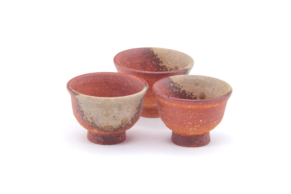 Japanese Tea Set - Shigaraki-yaki Houhin Teapot, Katakuchi Water Cooler, and 3 Yunomi Teacups