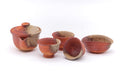 Japanese Tea Set - Shigaraki-yaki Houhin Teapot, Katakuchi Water Cooler, and 3 Yunomi Teacups