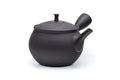 Tochiri Kokudei Tokoname Teapot - 350ml