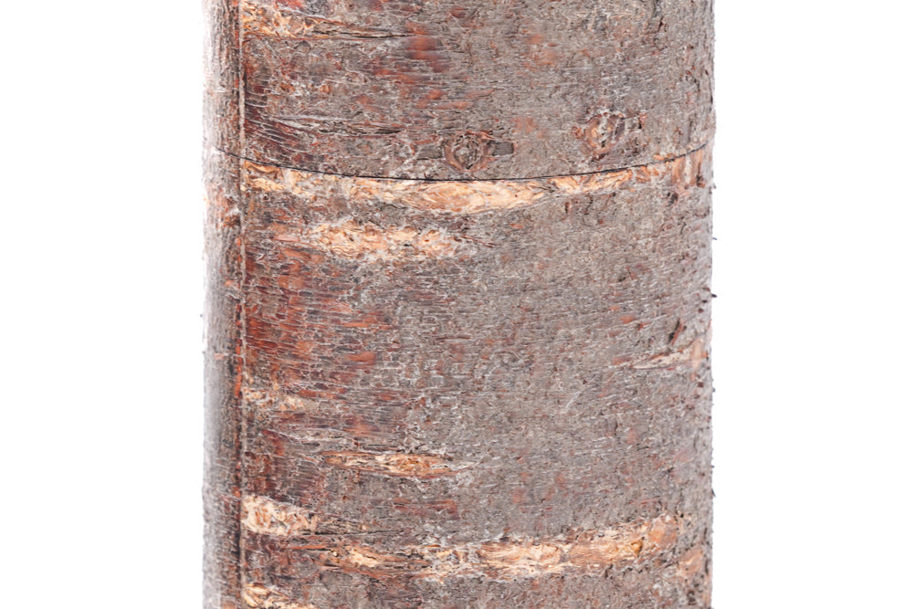 Kabazaiku Chazutsu - Unpolished Cherry Bark Tea Canister - 100g